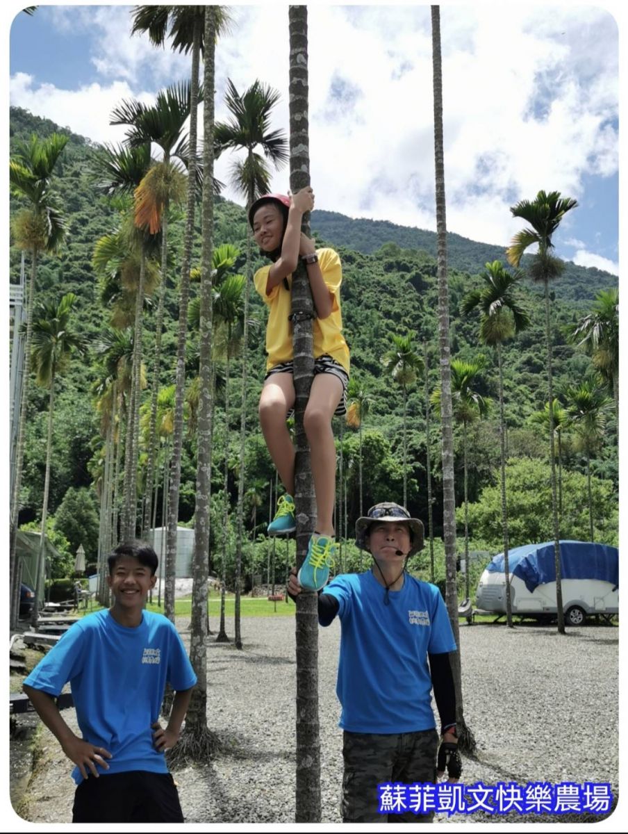 香草植物樹木導覽